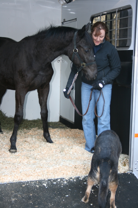 Kadence arriving at his new home